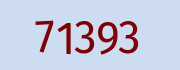 Security check