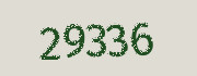Security check